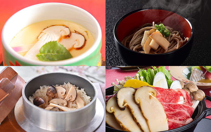 Premium松茸料理◇極味～きわみ～コース