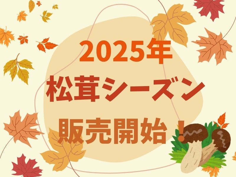 2025松茸シーズン